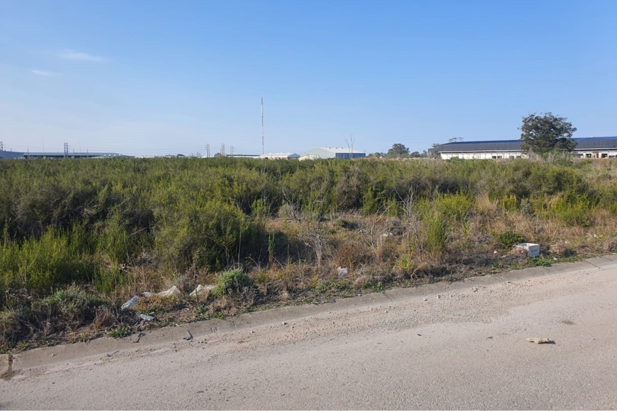 0 Bedroom Property for Sale in Greenbushes Eastern Cape